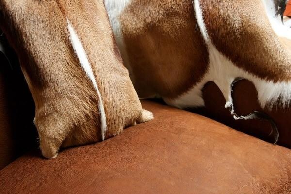 African Leather