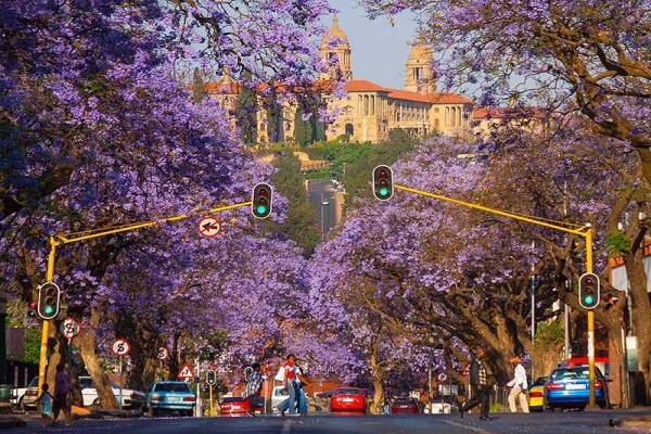 African Route