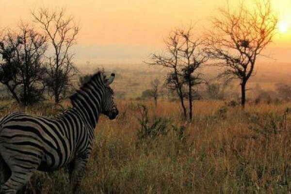 African Route