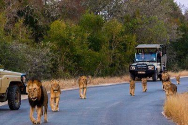 African Route