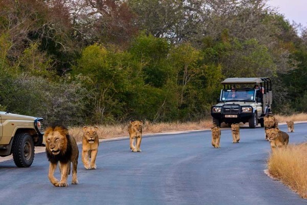 African Route