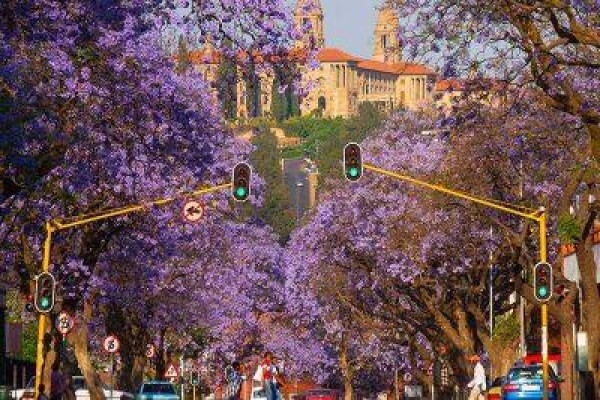 African Route