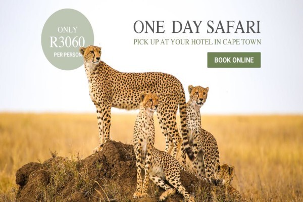 African Travel Desk