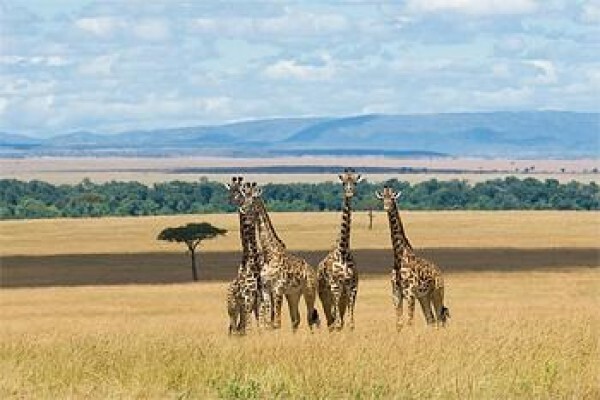 African Travel