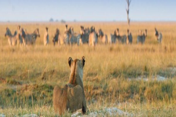 African Travel