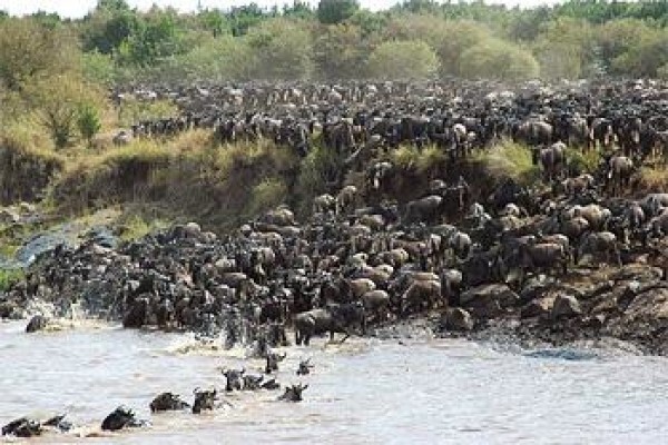 African Travel