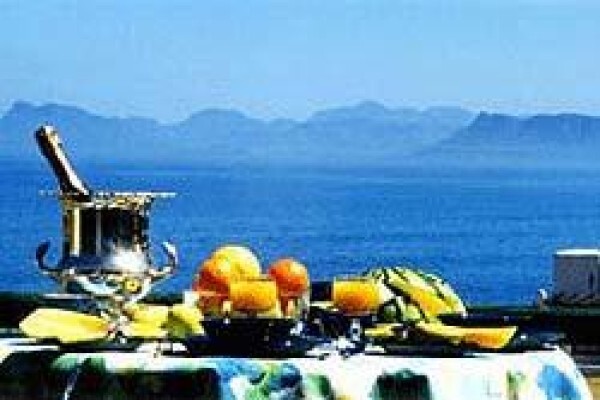 Africa Shark Dive Safaris