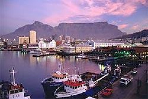 Africa Shark Dive Safaris