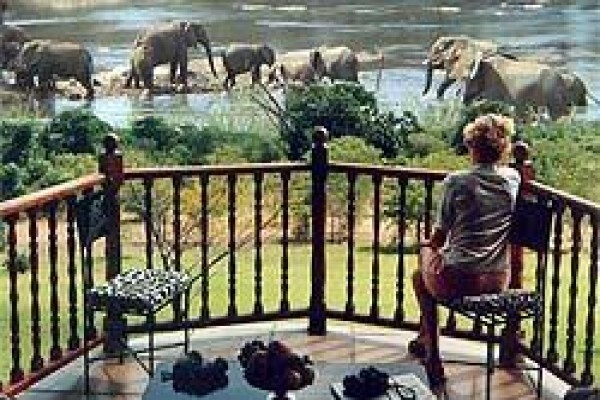Africa Shark Dive Safaris