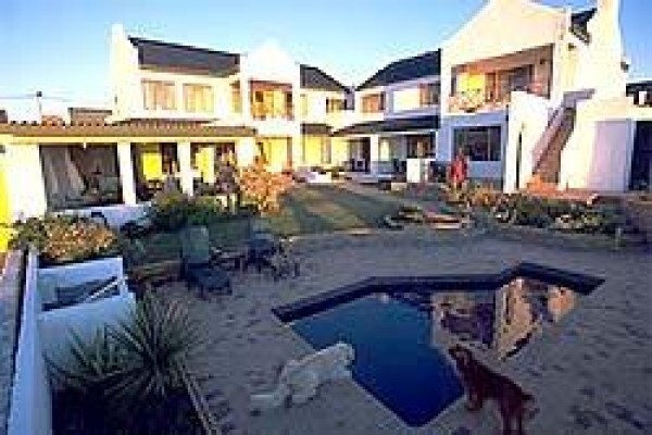 Africa Shark Dive Safaris