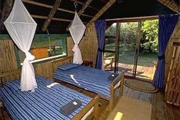 Africa Shark Dive Safaris