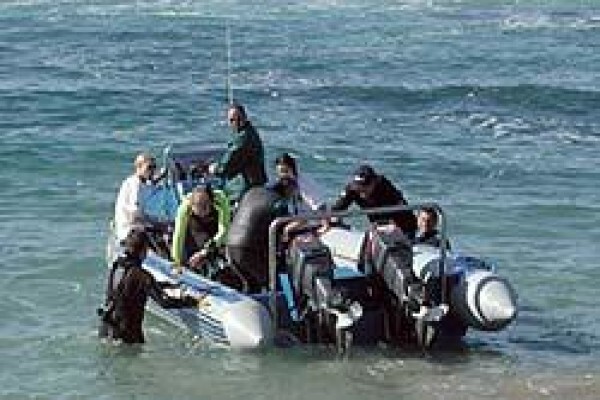 Africa Shark Dive Safaris