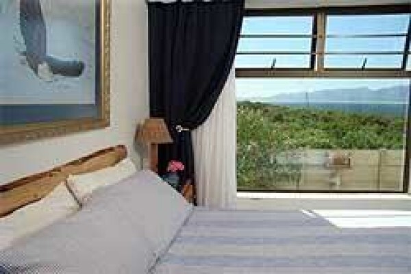 Africa Shark Dive Safaris
