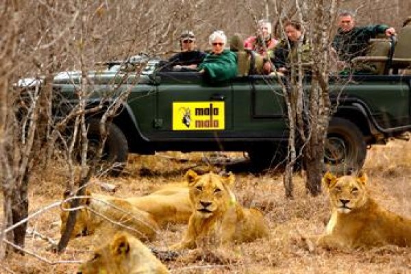 Africa Tour