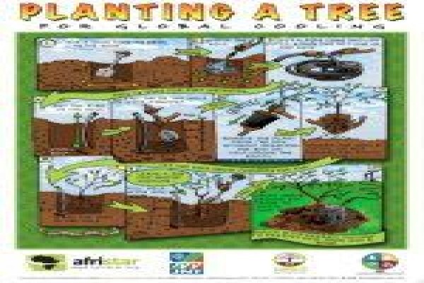 Afristar