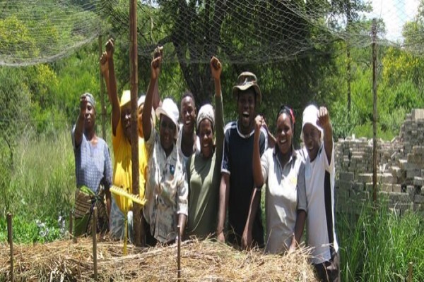 Afristar