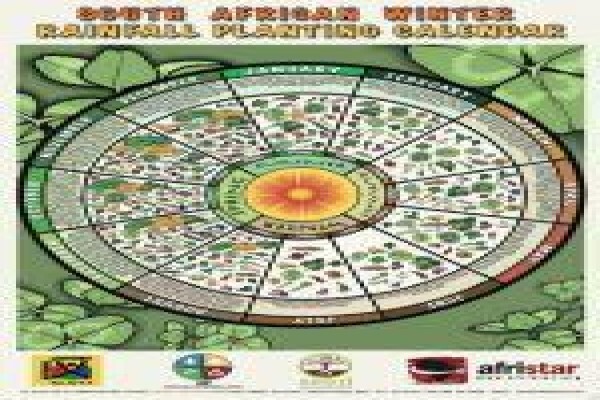 Afristar