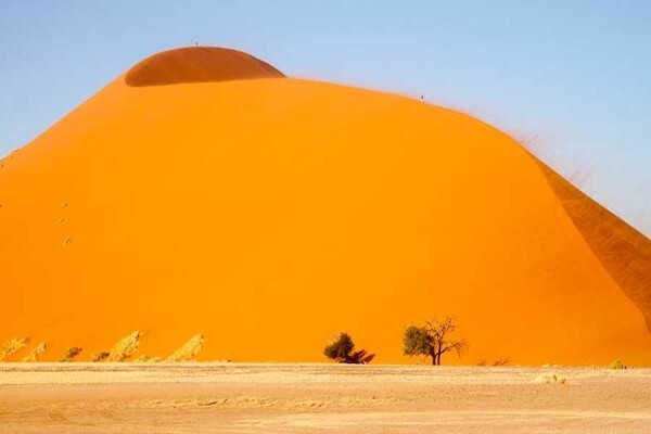Afrizim