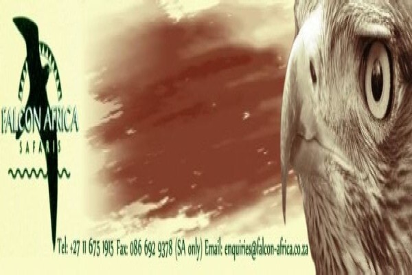 Falcon Africa