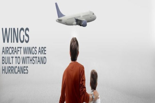 Fear Of Flying.Co.Za