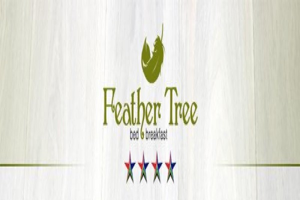Feather Tree