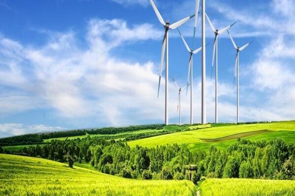 Envirolution
