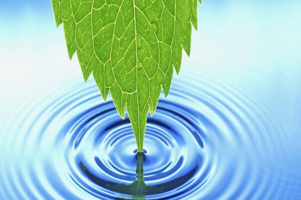Envirolution