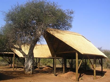 Epm Thatch Wapadrand
