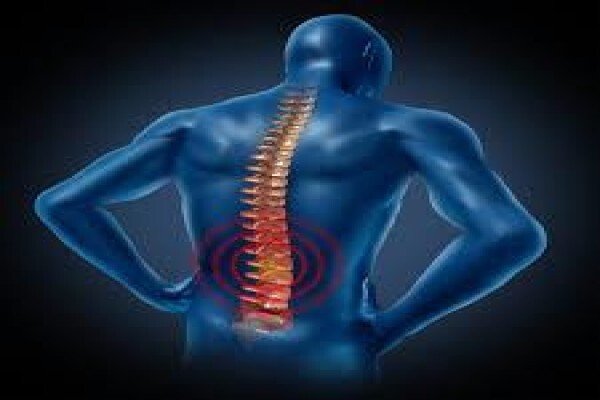 Erica Stohr Physiotherapist