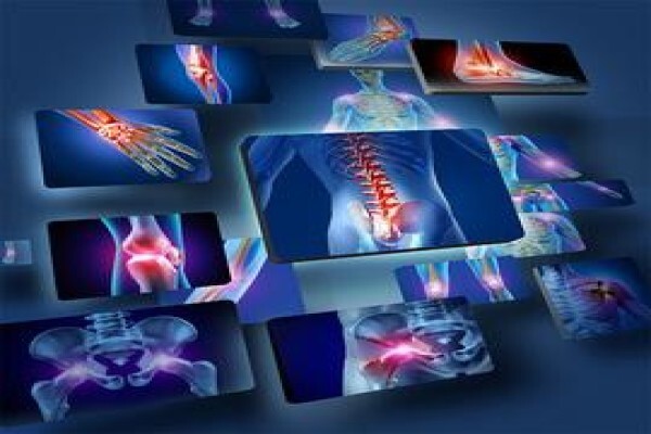 Erica Stohr Physiotherapist