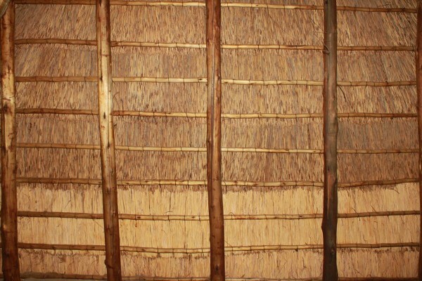 Er Thatch Roofs