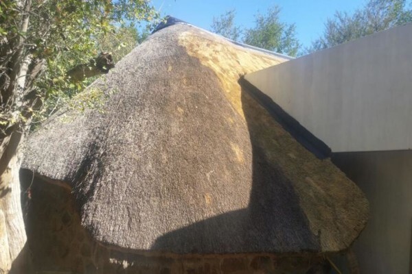 Er Thatch Roofs
