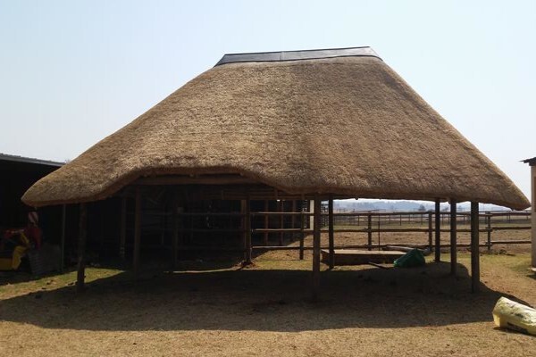 Er Thatch Roofs