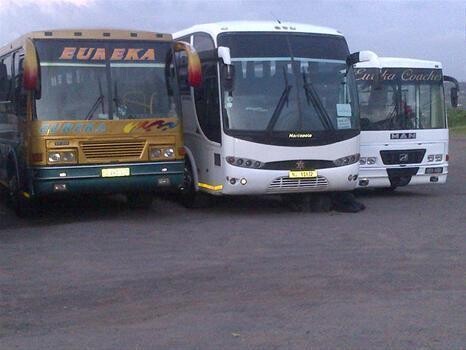 Eureka Coaches