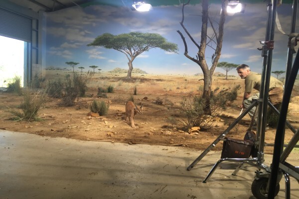 Euroconnection Productions Cape Town