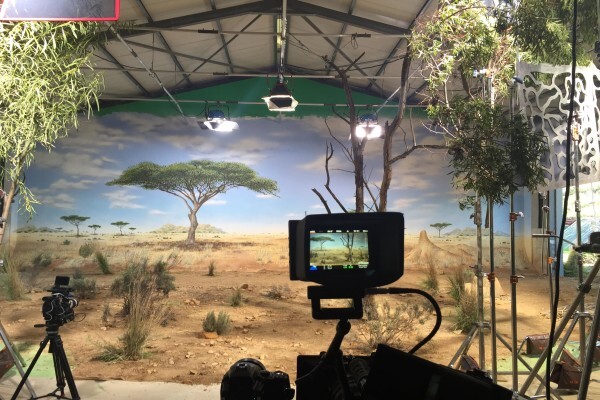 Euroconnection Productions Cape Town