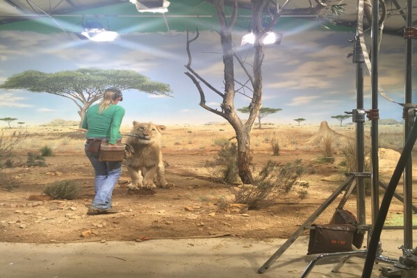 Euroconnection Productions Cape Town