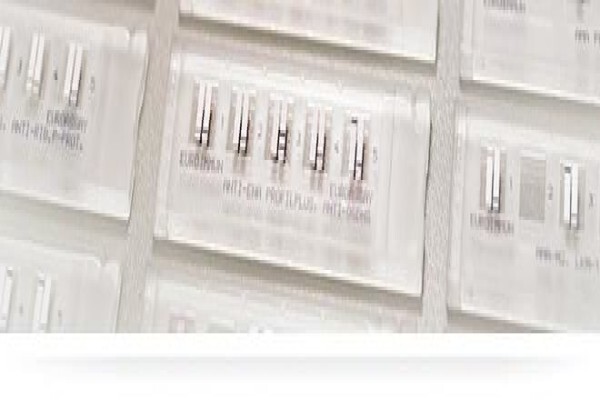 Euroimmun Medical Laboratory Diagnostics South Africa