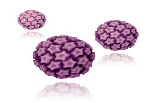 Euroimmun Medical Laboratory Diagnostics South Africa