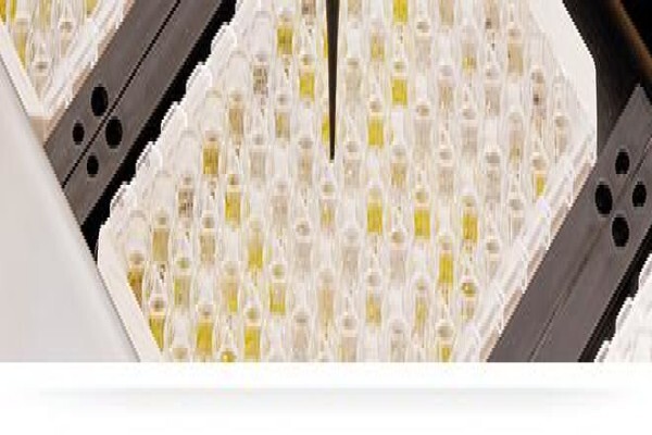 Euroimmun Medical Laboratory Diagnostics South Africa