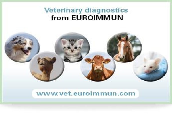 Euroimmun Medical Laboratory Diagnostics South Africa