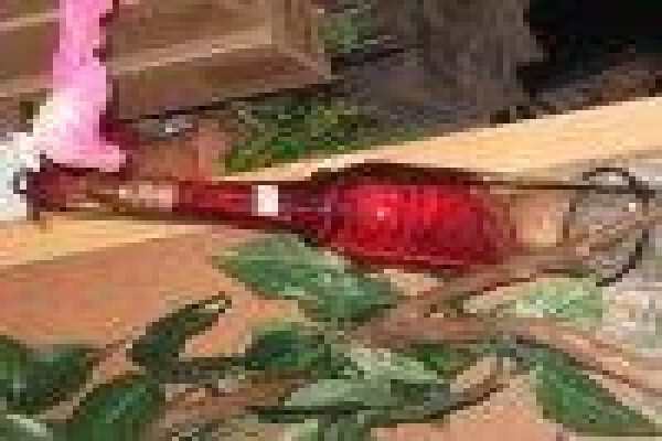 Franschhoek Christmas Market