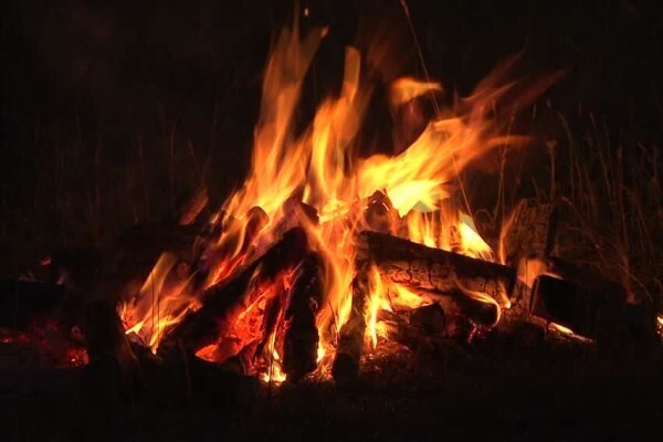 Firelogs.Co.Za