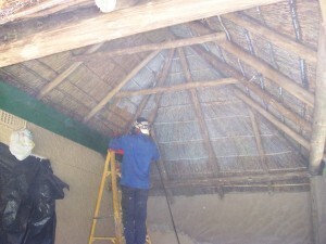 Fire Marshal Thatch Fire Retardant
