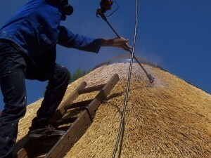 Fire Marshal Thatch Fire Retardant