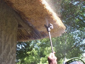 Fire Marshal Thatch Fire Retardant