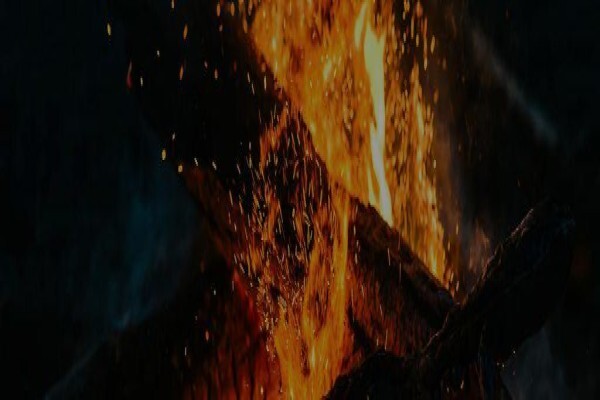 Firelogs.Co.Za