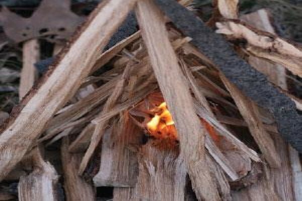 Firewood