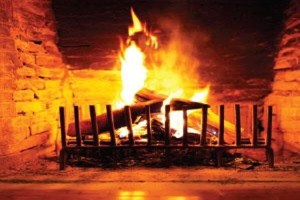 Firewood