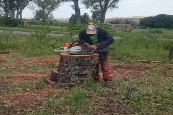 Firewood